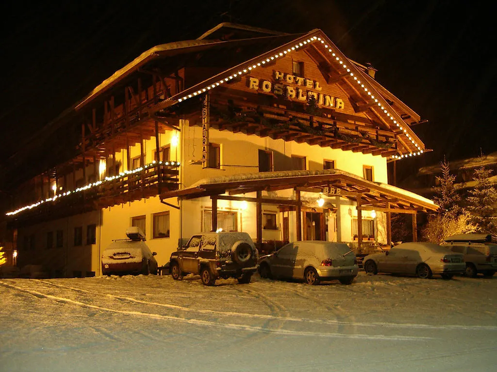 Hotel Rosalpina 罗卡皮耶托雷
